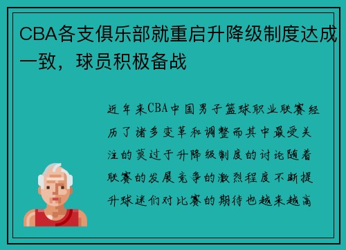 CBA各支俱乐部就重启升降级制度达成一致，球员积极备战