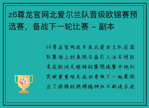 z6尊龙官网北爱尔兰队晋级欧锦赛预选赛，备战下一轮比赛 - 副本